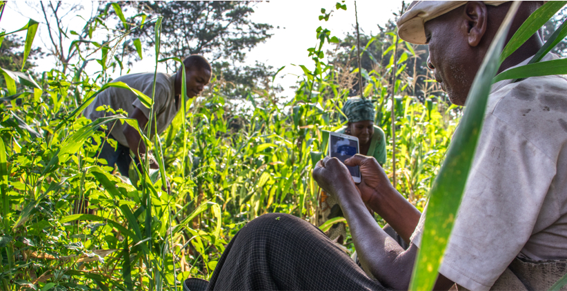 Digital technology has the ability to connect individuals to markets